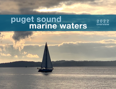 Image of a sailboat on the water at sunset.Text overlay reads: Puget Sound Marind Waters 2022 Overview.