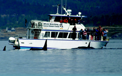 Whale watching boat in Puget Sound.