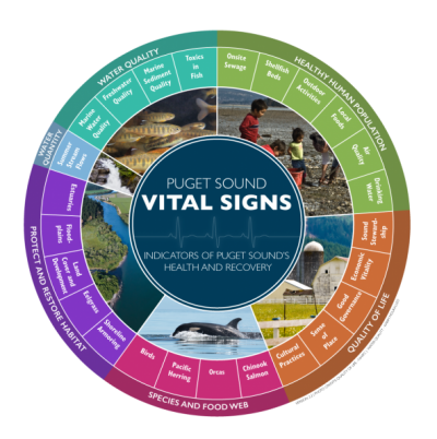 Puget Sound Partnership Vital Sign wheel