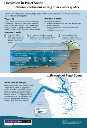 Infographic describing circulation in Puget Sound