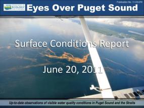 Eyes Over Puget Sound: Surface Conditions Report - June 20th, 2011