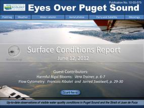 Eyes Over Puget Sound: Surface Conditions Report - June 12, 2012