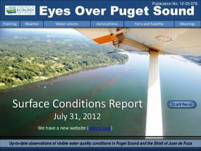 Eyes Over Puget Sound: Surface Conditions Report - July 31, 2012