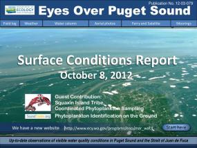 Eyes Over Puget Sound: Surface Conditions Report - October 8, 2012