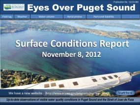 Eyes Over Puget Sound: Surface Conditions Report - November 8, 2012
