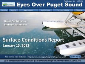 Eyes Over Puget Sound: Surface Conditions Report - January 15, 2013