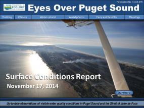 Eyes Over Puget Sound: Surface Conditions Report - November 17, 2014