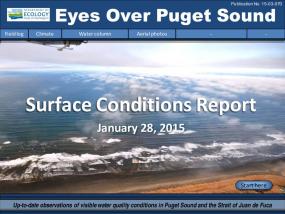 Eyes Over Puget Sound: Surface Conditions Report - January 28, 2015