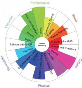 Visual representation of Human Wellbeing domains for marine policy.