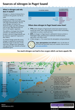 Sources of nitrogen in Puget Sound