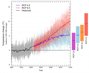 All scenarios project warming for the 21st century. The graph shows average yearly temperatures for the Pacific Northwest relative to the average for 1950-1999 (gray horizontal line). The black line shows the average simulated temperature for 1950–2011, while the grey lines show individual model results for the same time period. Thin colored lines show individual model projections for two emissions scenarios (low: RCP 4.5, and high: RCP 8.5)[ ], and thick colored lines show the average among models projecti