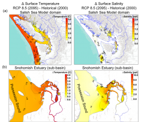 Predicted annual average Δ in surface temperature and salinity over (a) the entire Salish Sea domain, as well as (b) in the nearshore intertidal regions of the Snohomish River estuary (see Khangaonkar et al. 2019 for details).  Image courtesy of Journal of Geophysical Research: Oceans.