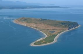 Protection Island. Image courtesy of NOAA.