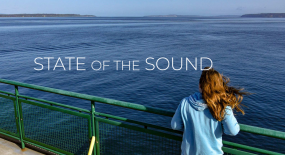 Image from State of the Sound Report website