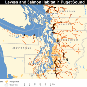 Overview map of Puget Sound levees and critical salmon habitat