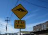 Otter crossing street sign. Photo: Joe Gaydos