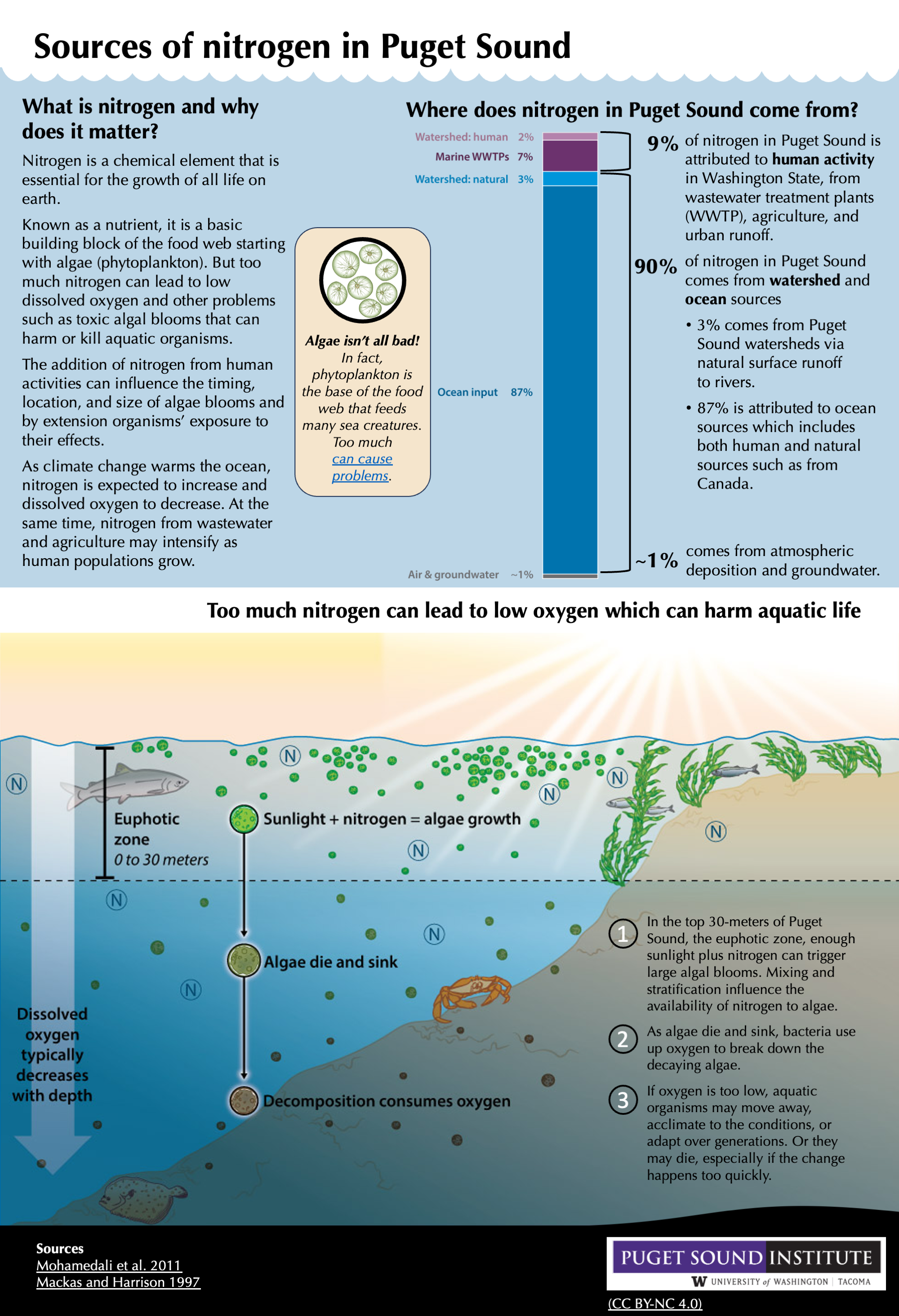 Infographic describing sources of nitrogen in Puget Sound