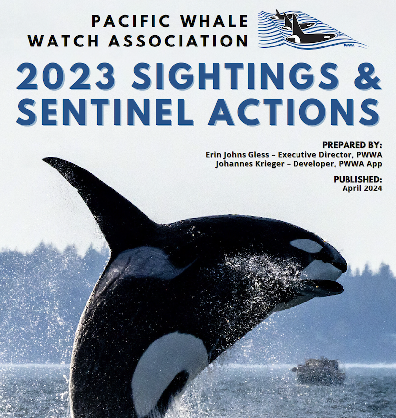 Cover of the Pacific Whale Watch Association 2023 Sightings and Sentinel Actions report, featuring a photograph of an orca whale breaching with a boat in the distance.