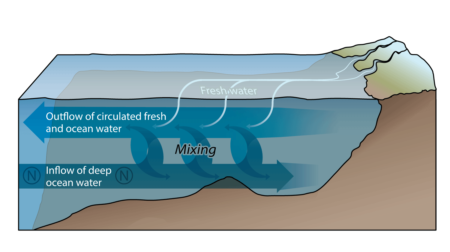 Graphical illustration of circulation pattern in Puget Sound of deep and surface waters