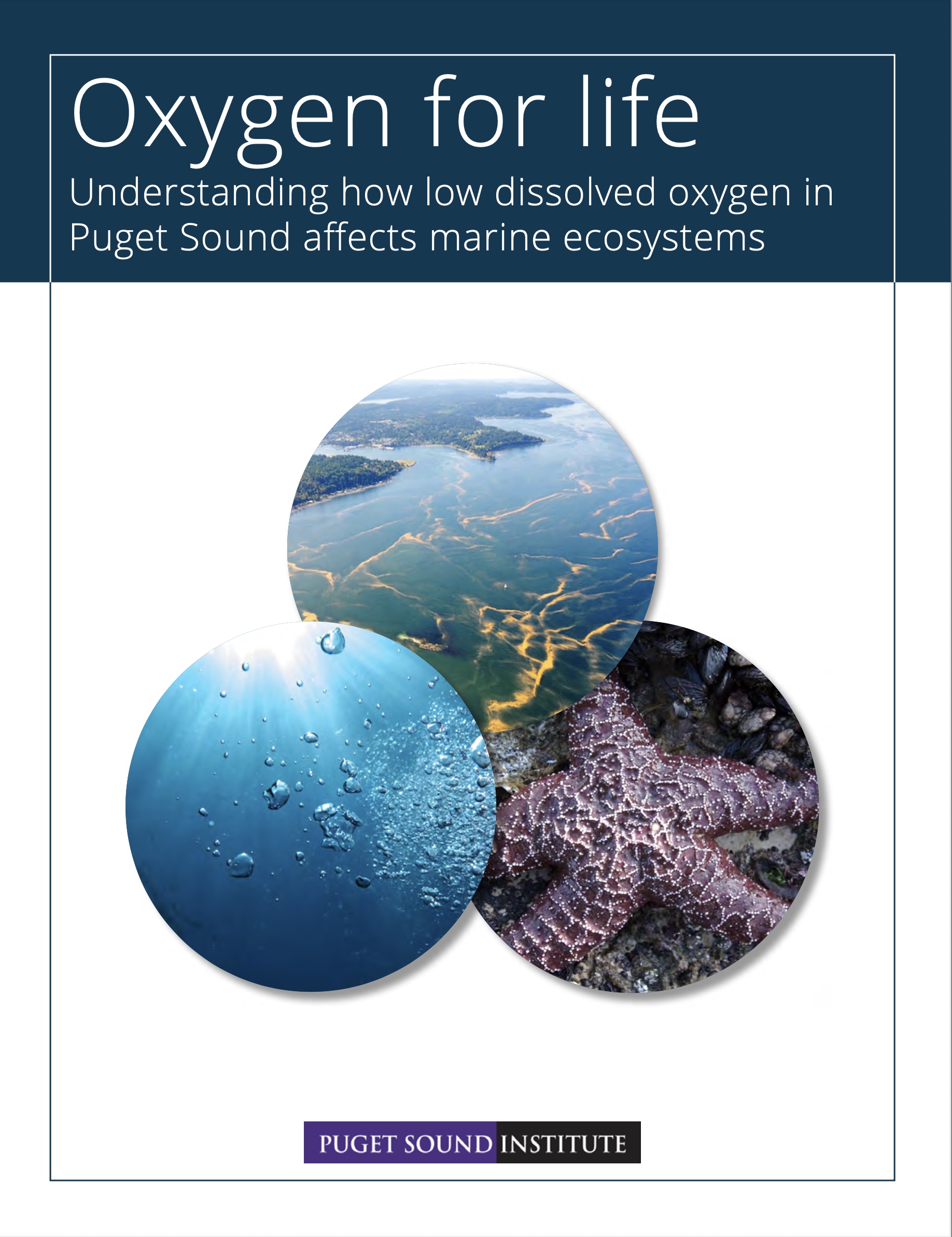 Report cover